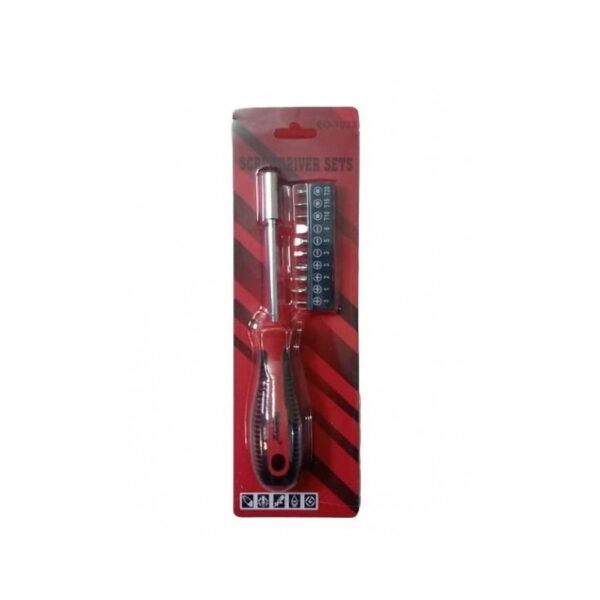 SCREW DRIVER SET RANZ 11 BITS